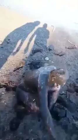 грязевые_ванны