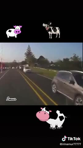 королева_дорог