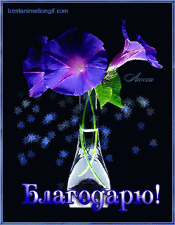 051ba6f72ff9f8fc79aa6ca24bef0416