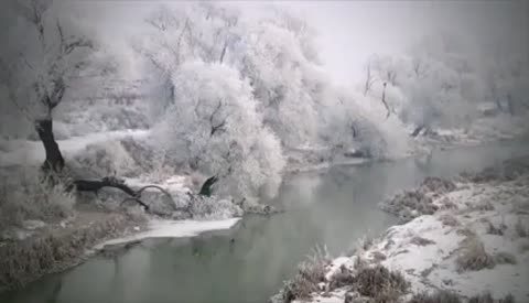 20201201_16