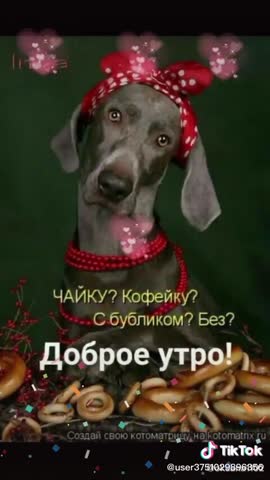 Добренькое_утро