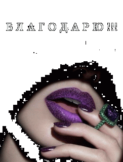 IMG_20170904_045805_42