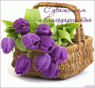 IMG_20170904_045815_43