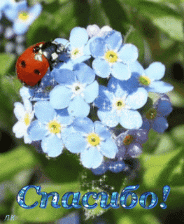 IMG_20170904_045828_45