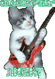 Лимит кот на гитаре