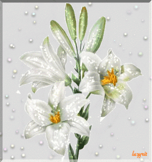 5db0f942ddd9e25192da0792edb2f388