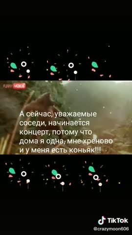 1a55870eb213a930c324702d598795e1