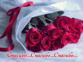 spasibo-spasibo-spasibo