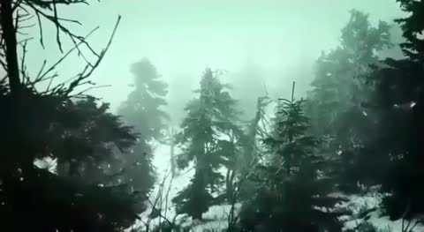 video-c2f14095a07cdcd6902bb43ba40b7947-V