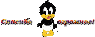544438577