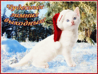 Чудесных-зимних-выходных