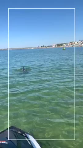 video-9d5fdf17d7bbfae2e796ada2916f485d-V