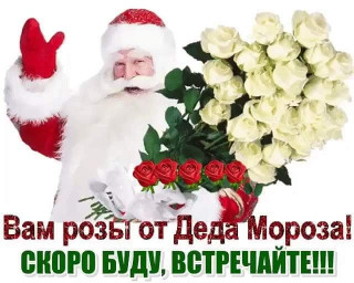 marinabazheno-___CIde4W9FTcp___-