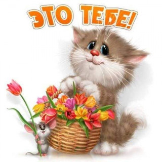 marinabazheno-___CIdg3A1FMK9___-