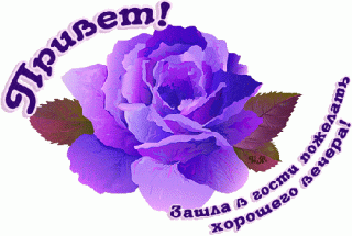privet-zashla-v-gosti-pozhelat-xoroshego-vechera