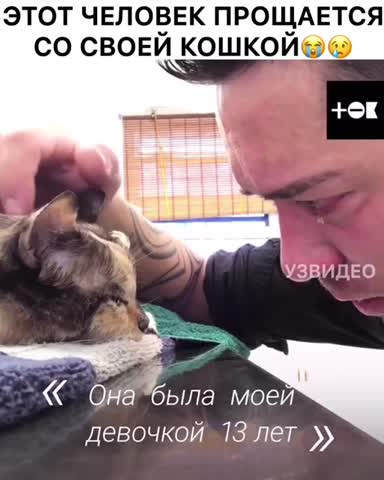 2_5233364358221791455