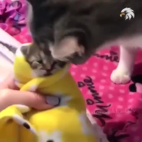 Боже_это_так_мило__Мамочки