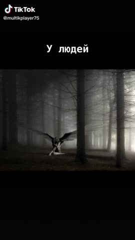 6368d90785c4763632c8e1270398ac99