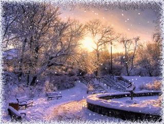 82525838_81337785_13083136