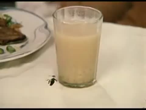 Raz_priwli_na_ugoschenja_klip_na_pesnju__360_X_360_-_im