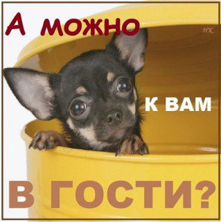 -7B6-3dtw_Y