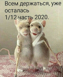 Z8hbqX5FuTk