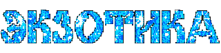 Экзотика
