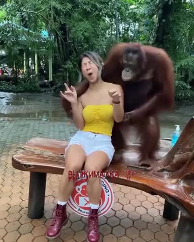 VID_20201213_232510_223-_im