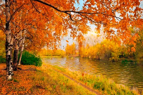 осень она не спросит