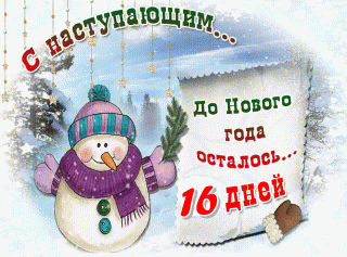 Foiz__16