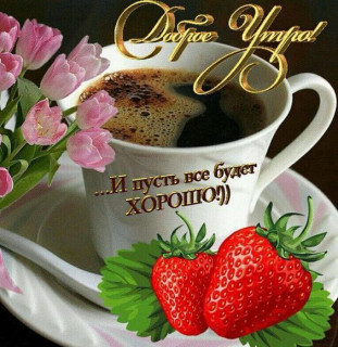 4fbfb8223eb70403773d4ed919f8f2d2