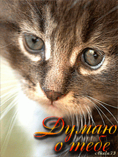 Думаюотебе