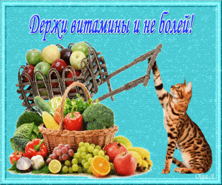 Выздоравливай