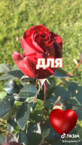 7f61ce787d2045f4b3ce14e5b8e5d55d