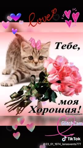 38e0de38dbb72b96078f5609e8e7eb2f