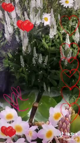 7d2e999459b4365a01391cf5a23977fe