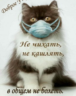 sychevaliubov9385-___CI5J9QoD0Ba___-