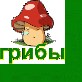 oie_FrGKP9fsiPWb