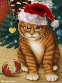 ab8d228073335fc8de4f398634fb3dae