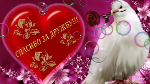 MOIM_DZJAMmuzykalnoe_video_s_pozhelanijami-_im