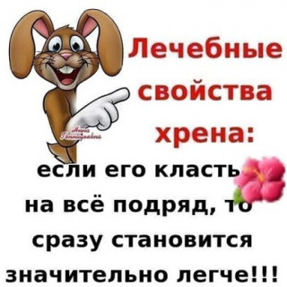 ЛЕЧЕБНЫЕ_СВОЙСТВА___