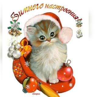 vasilijkravcenko45-___CI_A7pIFvSa___-