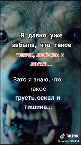 9509e00f688dd653f0d89d324e18c116