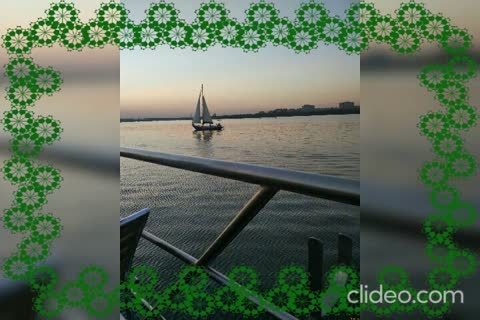 qCDL7Y9O