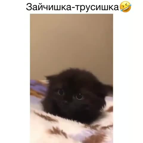 humor_ygar-___CJEC_kFoRtY___-