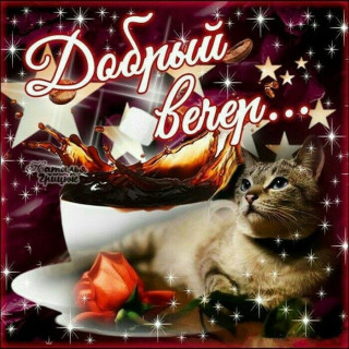 tatiana_lopatina1-___CJD_wZpHJKO___-