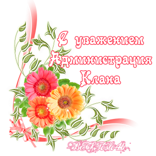 администрация