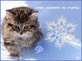 Ловиснежинку