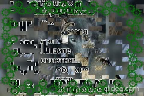 jwIkdkuO