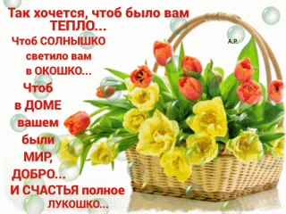 schastya-polnoe-lukoshko